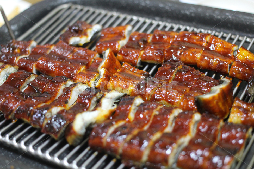 장어,장어요리,장어구이,양념장어구이,몸보신,음식,식재료,요리,food,cook,meal,dishes,food reserves,한식,한국음식,한국요리,korean food,korean dishes,korean meal,korean cook