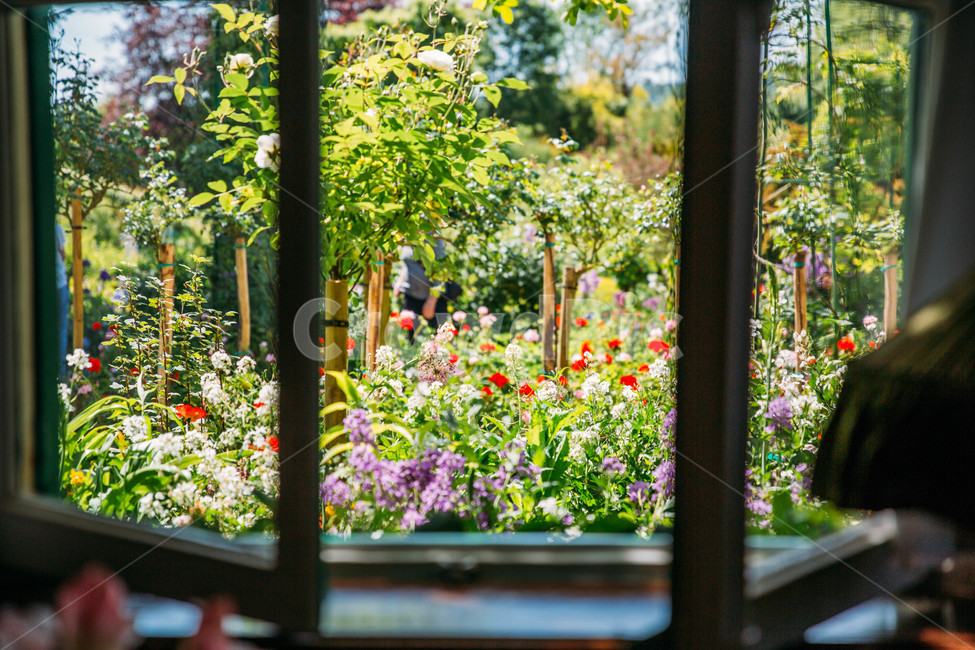 창문,풍경,꽃,꽃밭,정원,flower,자연,식물,자연,plants,nature,꽃,flower,휴식,힐링,rest,relaxation,healing