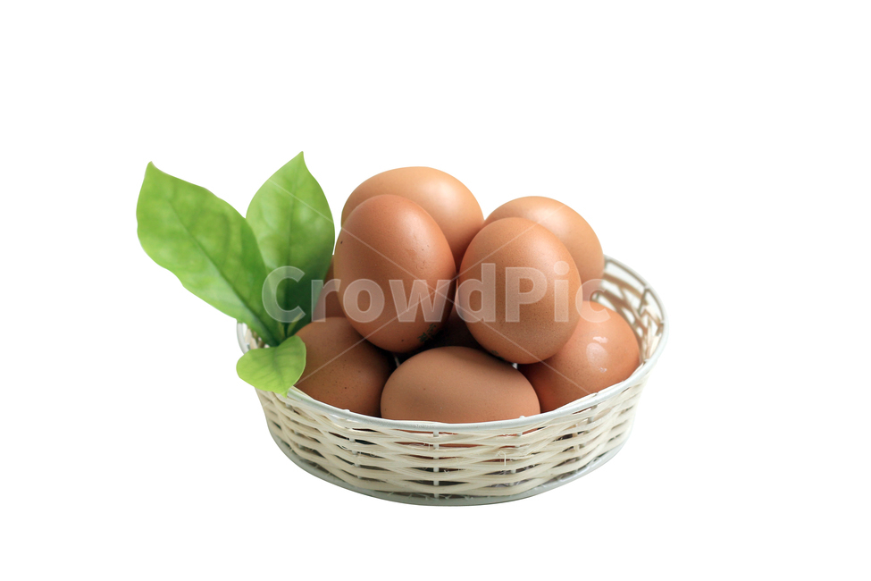 egg package,egg,still life,egg basket
