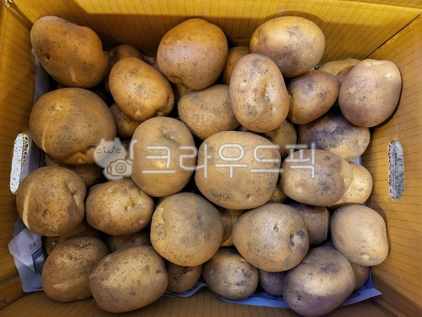 감자,감자박스,구황작물,음식,food,수확,농사,밭농사