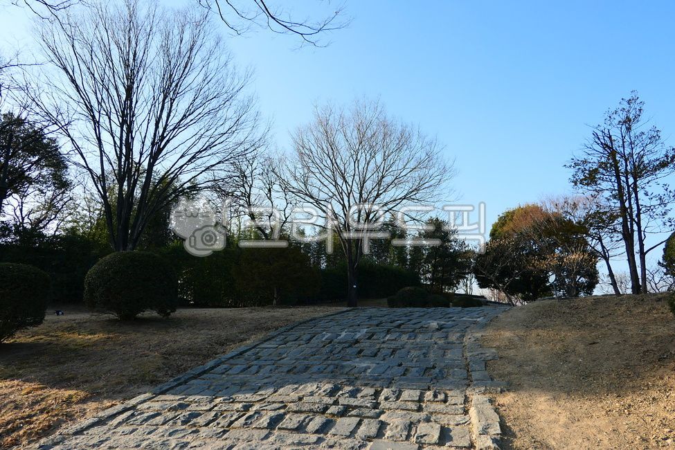 풍경,뷰,신선한,공기,푸른,맑은,편안한,푸른하늘,깨끗한,경치,자연,공원,길,나무,landscape,view,fresh,air,blue,clear,comfortable,bluesky,clean,scenic,nature,park,road,tree,path,통로,sidewalk,walkway,보도