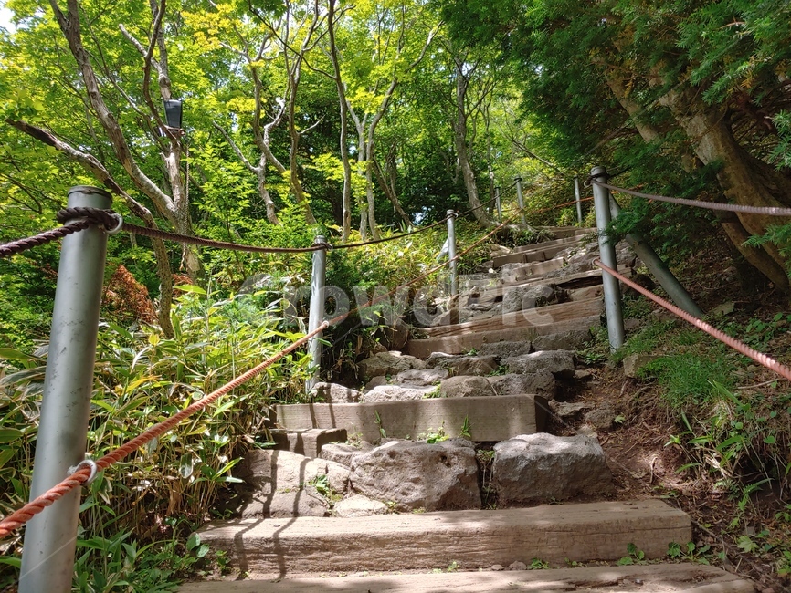 숲길,나무,잎,등산로,계단,mountain,sky,clouds,green,초록,등산,한라산,배경,바위,rock,stone,trailwalkway