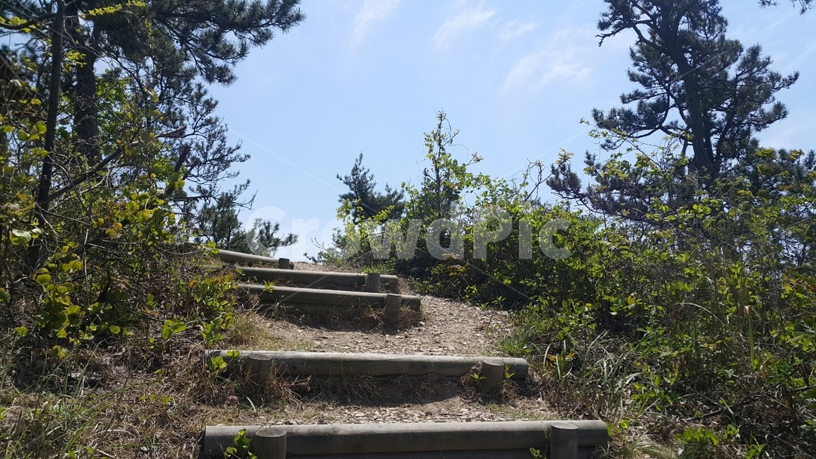 산,계단,숲,나무,풍경,자연