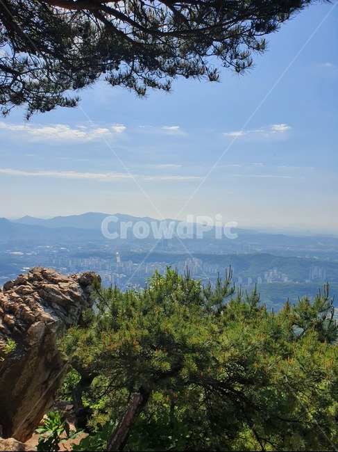 산,도시,풍경,하늘,소나무,산본시가지