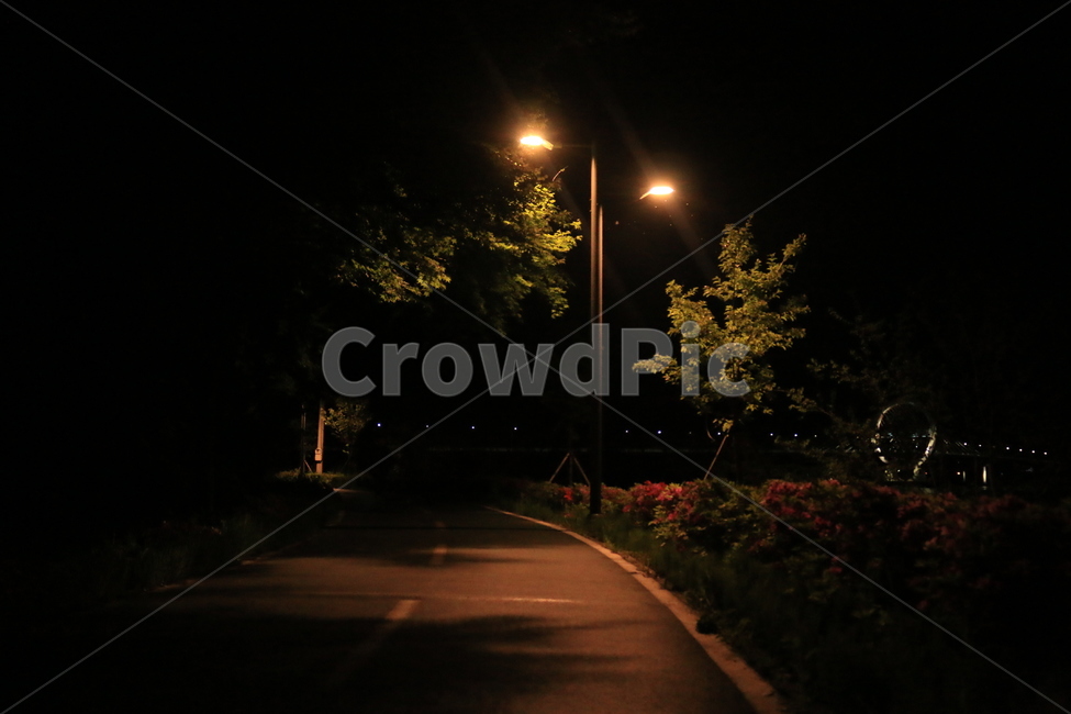 야경,산책길,나무,가로등,밤,빛,불빛,고독,깊은밤,nightview,light,trailway,tree,streetlapm,night,deepnight,loneliness,lonely,자연,풍경,nature,landscape,야경,밤,nightscape,night,lamp post,램프 포스트