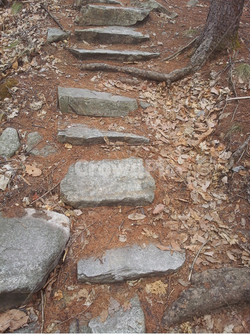 판석,통로,walkway,보도,돌,돌계단,산,산길