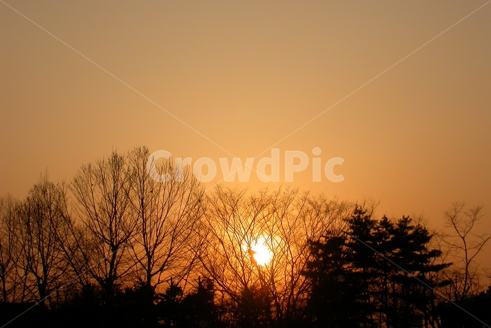 nature,자연,outdoors,옥외,light,빛,flare,플레어,sunlight,햇빛,sky,하늘,sunset,일몰,redsky,붉은하늘,dusk,황혼,노을