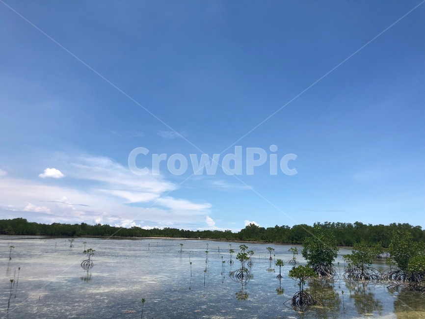 land,nature,outdoors,water,sea,땅,자연,옥외,물,야외,배경,경치,휴가,여름바다,바캉스,summer,바다,décalcomanie,데칼코마니,outfitoftheday,scenery,landscape,휴양지,beach,자연,풍경,nature,landscape