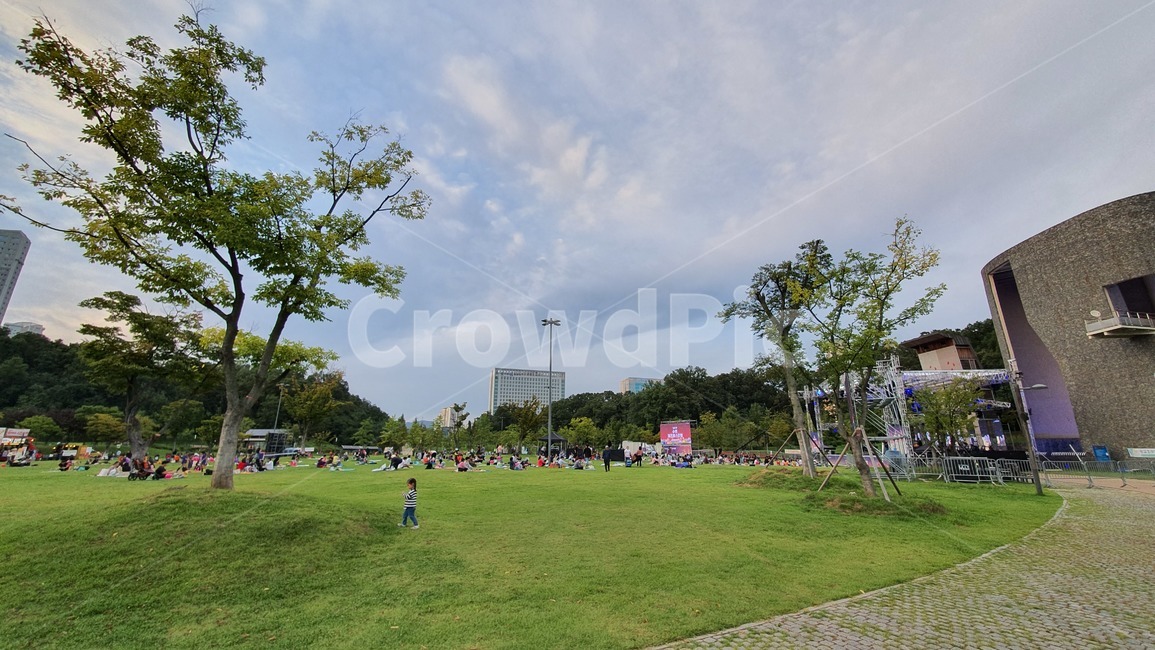 공원,grass,outdoors,lawn,잔디,식물,park,사람,person,호수공원,야외공연