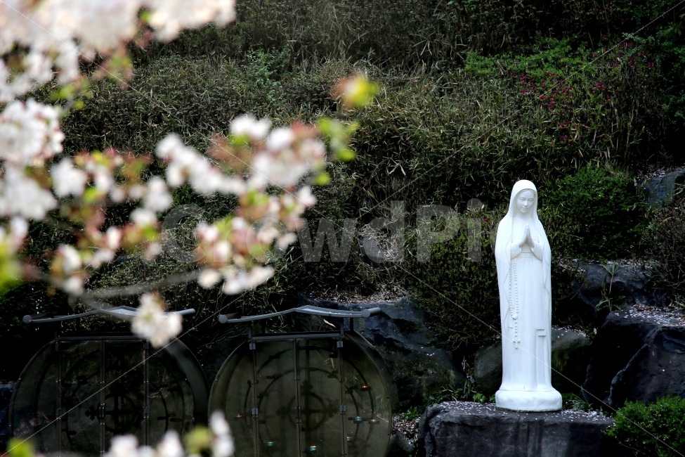 성모마리아,마리아상,카톨릭,성당,성지,조각상,동상,석상,조형물,statue,bronze statue,stone statue,종교,신앙,religion,belief,faith