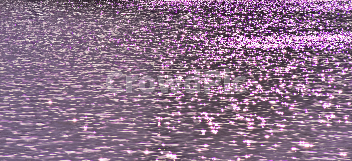 물결,보라색,웨이브,물,백그라운드,바탕,배경,야외,옥외,아웃도어,outdoors,water,ripple