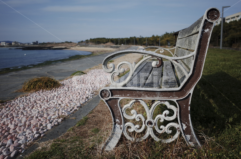 bench,parkbench,furniture,벤치,가구,공원벤치,해변,beach