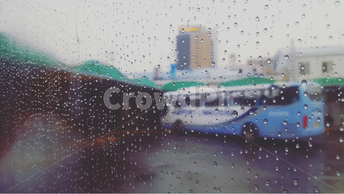 비,버스,버스터미널,rainy,터미널,bus,rain,emotion,감성,감성사진,비오는날,빗방울,여름사진공모전,비,비오는날,rain,rainy,교통,교통수단,traffic,transportation