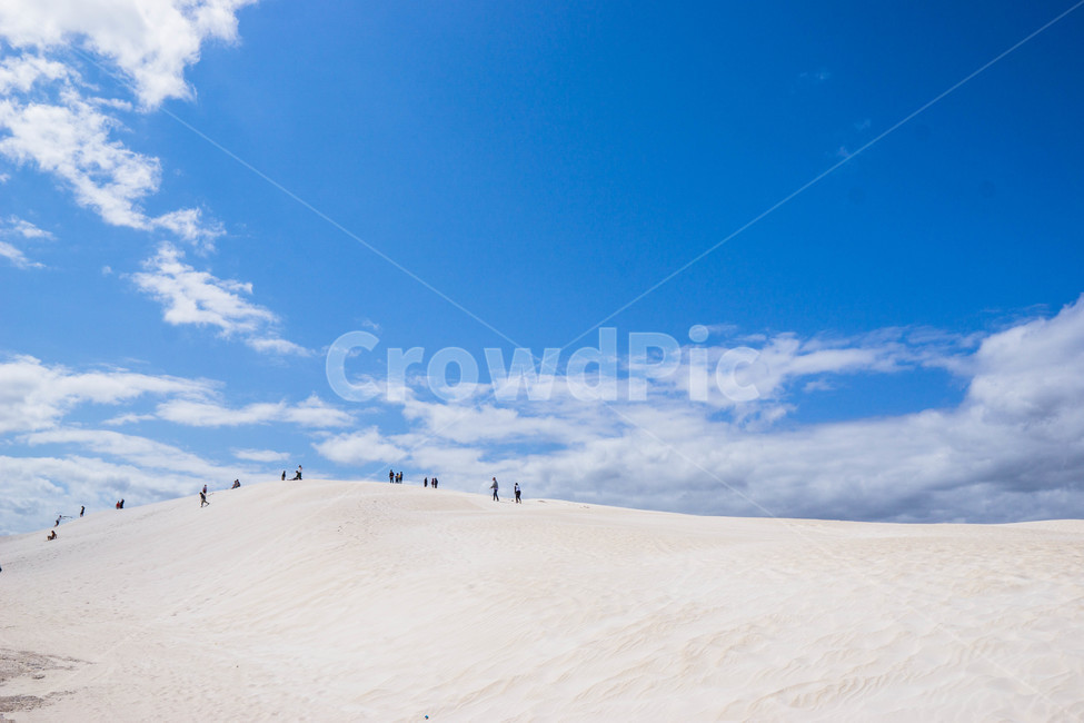 호주,란셀린사막,란셀린,사막,퍼스,자연,풍경,nature,landscape,해외,외국,세계,foreign,oversea,world,세계자연풍경,해외자연풍경,외국자연풍경,world nature landscape,사람들,대중,군중,other people,crowd,soil,흙,sand,모래,outdoors,옥외,dune,모래 언덕