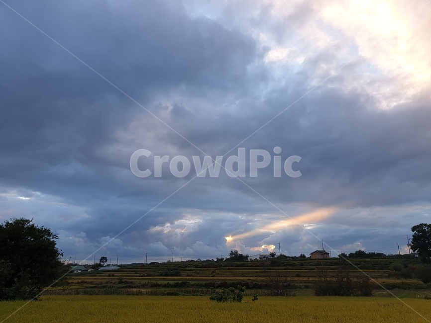자연,하늘,빛,감성,grassland,자연,풍경,nature,landscape