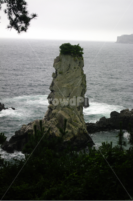 제주,바다,외돌개,바위,풍경,자연,풍경,nature,landscape,한국자연풍경,한국자연경관,korea nature landscape,제주도,jeju,jeju island,outdoors,옥외,land,땅,ocean,대양,water,물,sea,promontory,곶,shoreline,해안선,cliff,낭떠러지