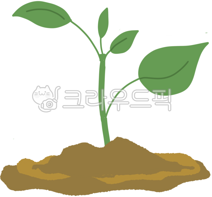 씨앗, 씨앗일러스트, 씨앗디자인, 씨앗이미지, 씨앗꾸미기, 사진,이미지,일러스트,캘리그라피 - junghuhab작가
