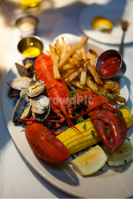 랍스터,해물,식품,신선한,공식만찬,레스토랑,요리,식사,음식,식재료,요리,food,cook,meal,dishes,food reserves,수산물,해산물,fishery products,seafood