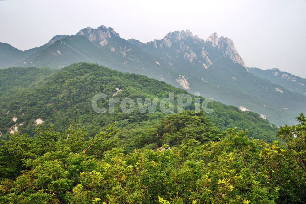 도봉산,산,국립공원,선인봉,자운봉,신록,계절,자연,자연,풍경,nature,landscape