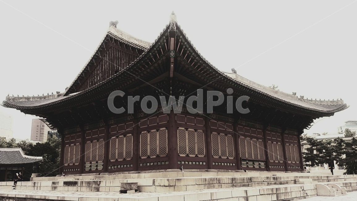 덕수궁,중화전,문화재,궁,궁궐,건축물,기와,사람,한국전통,한국문화,korean traditional,korean culture