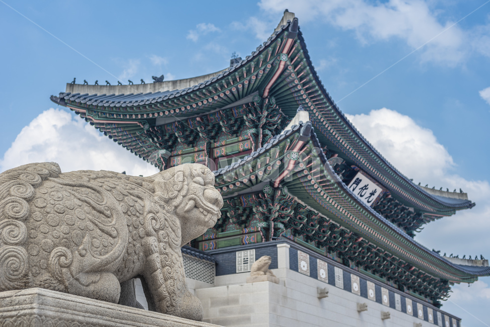 해태,광화문,경복궁,광화문광장,한국