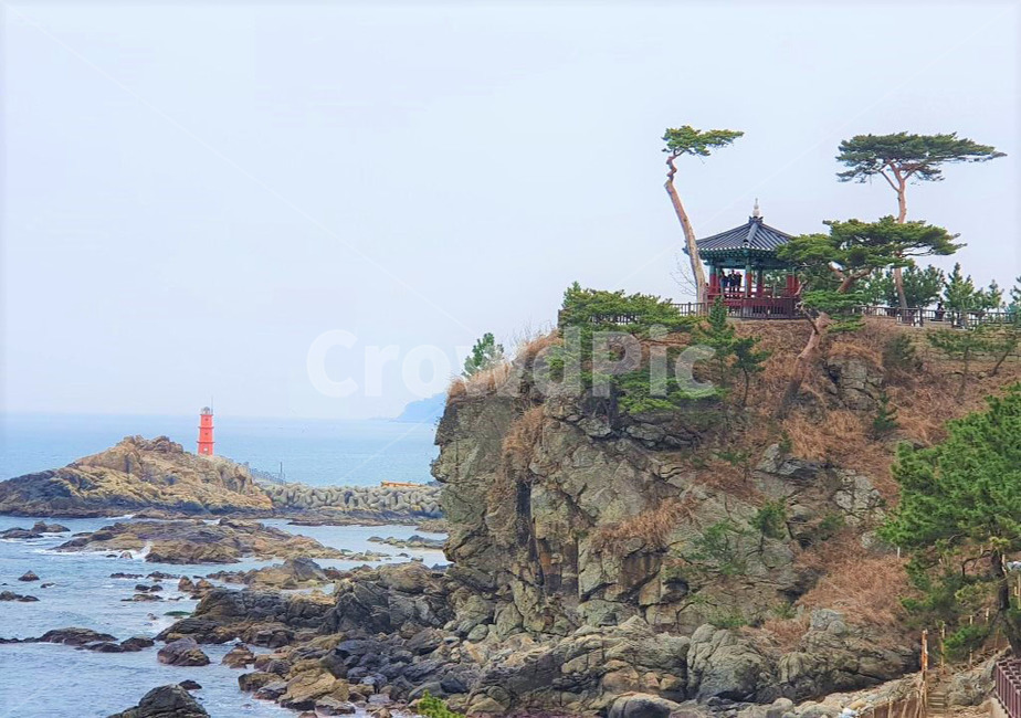 nature,자연,outdoors,옥외,절벽,등대,바다,정자,소나무,나무,sea,cliff