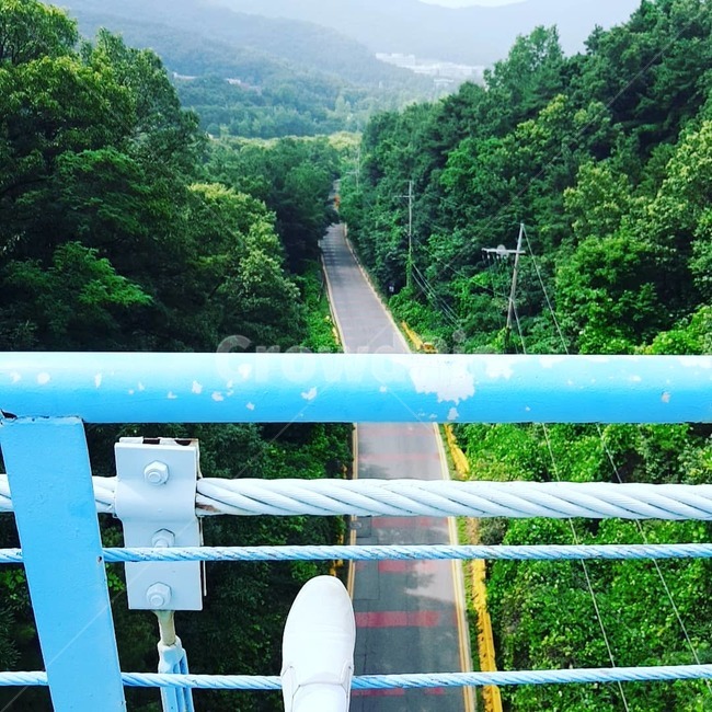 광덕산,등산중,발샷,산책,산,나무,다리위