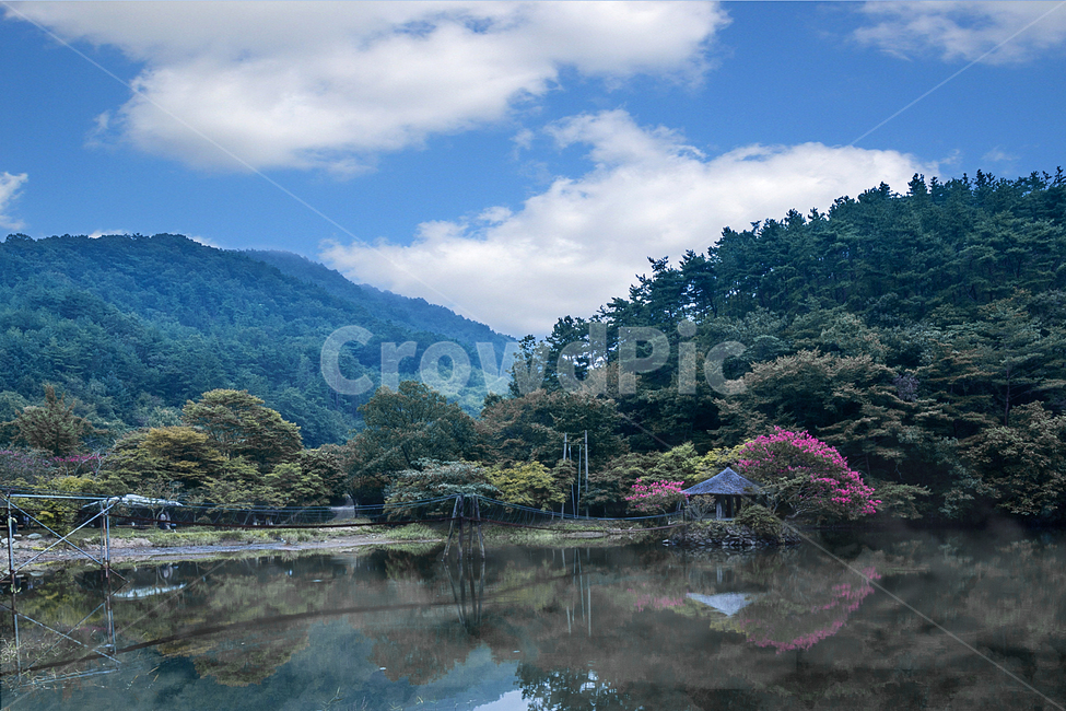 다리,호수,외딴집,백일홍,연못,자연,풍경,nature,landscape,한국자연풍경,한국자연경관,korea nature landscape,water,물,outdoors,옥외