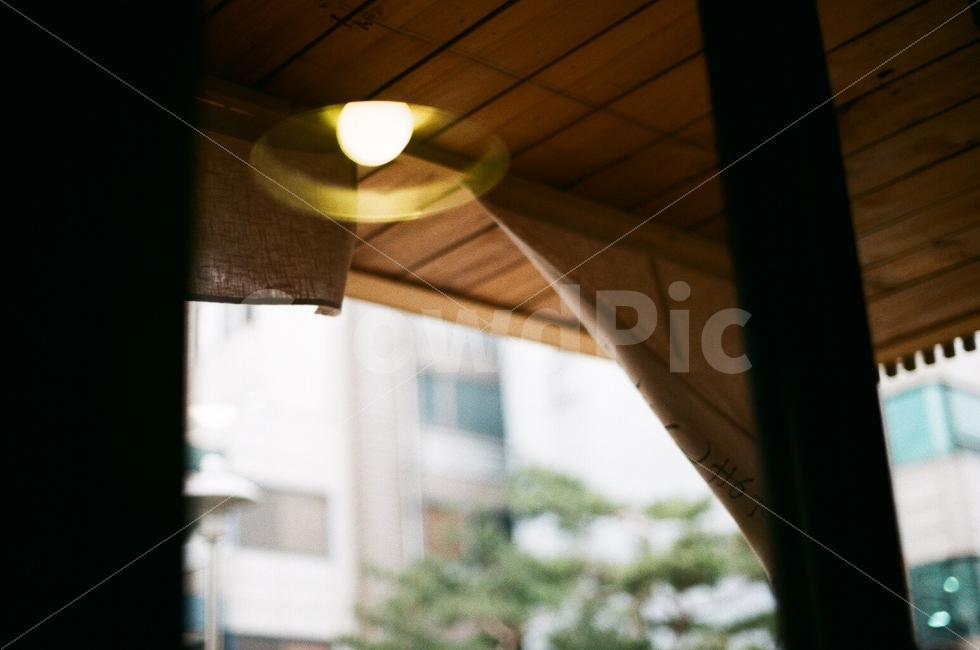 sky,coziness,Wind,lunch,film photo,tree,sensitive,film,lighting,analog,calmness,window,after,emotional photo,wind