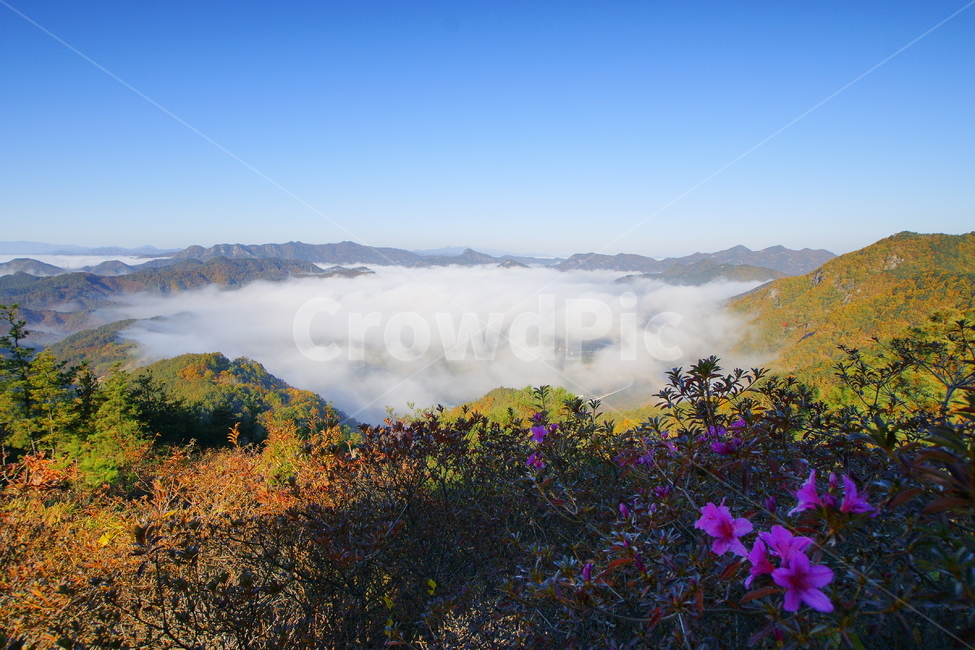무주,내도리,운해,철쭉,풍경,자연,풍경,nature,landscape,한국자연풍경,한국자연경관,korea nature landscape,mountain,산,outdoors,옥외,mountain range,산맥,weather,날씨