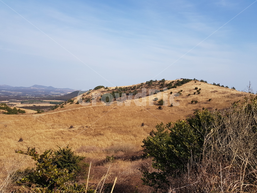 따라비오름,오름,제주도오름,오름길,오름산책,제주도,jeju,jeju island,nature,자연,outdoors,옥외,hill,언덕