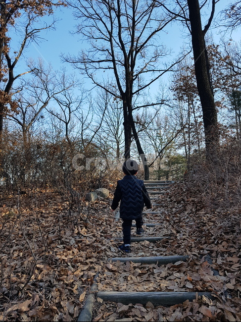숲,산,나무,아이,뒷모습,자연,풍경,nature,landscape,사람,인물,인간,human,person,어린이,어린아이,child,children,kid,ground,바닥