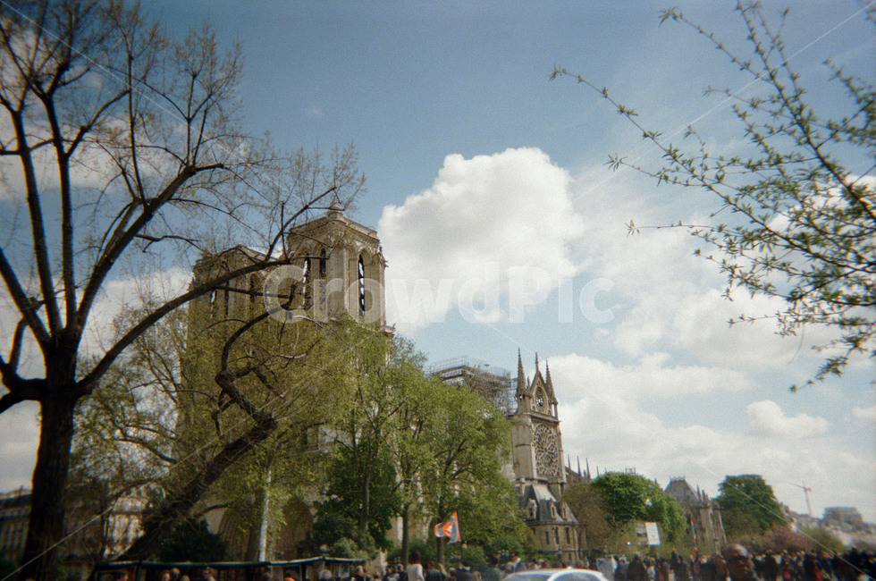 프랑스,파리,노트르담,paris,notredame