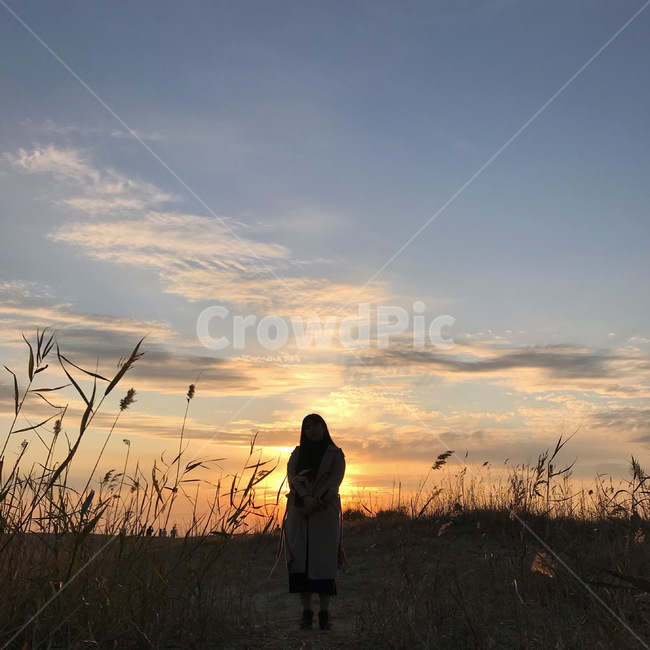 nature,자연,plant,식물,사람,human,갈대,갈대밭,reedbed,노을,sunset,구름,하늘