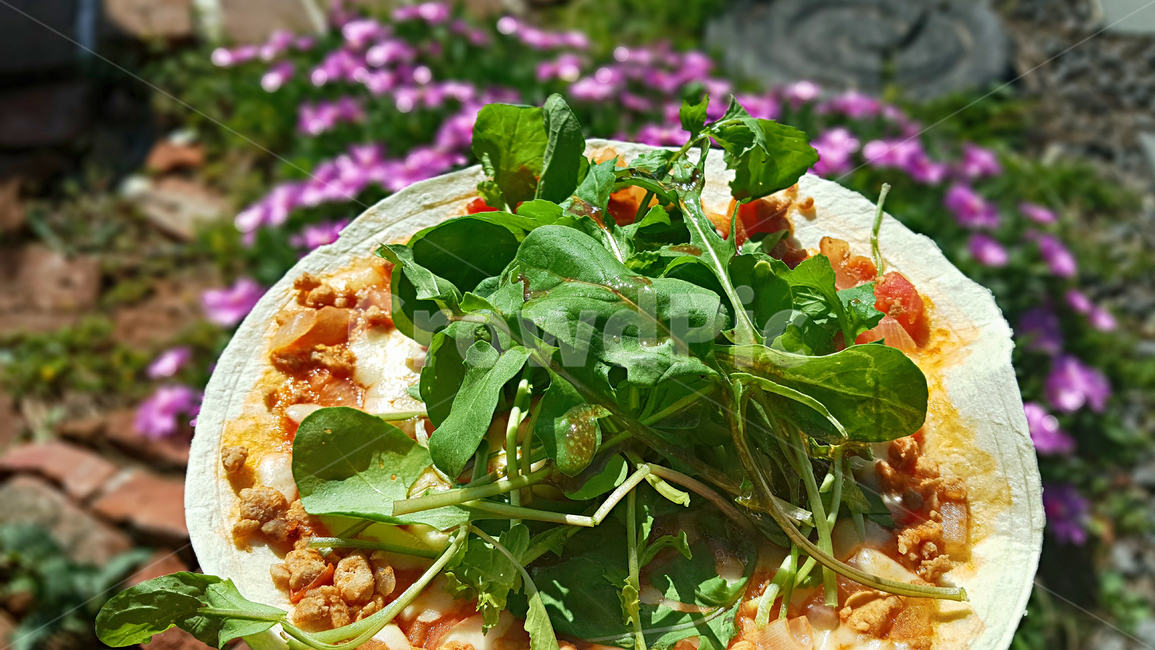 루콜라피자,루꼴라피자,요리,food,피자,푸드,음식,음식,식재료,요리,food,cook,meal,dishes,food reserves,채소,야채,vegetables