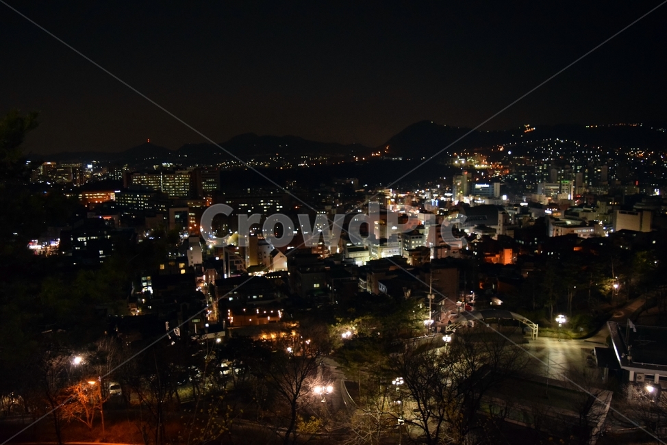 낙산공원,야경,도시,도심,가로등,야경,밤,풍경,nightscape,night,landscape,도시,city,nature,자연,outdoors,옥외,경치,scenery,aerial view,조감도