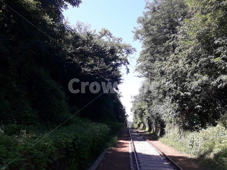 철도나무,하늘,광명시,유한대근처,항동철길,자연,풍경,nature,landscape,railway,철도,train track,기찻길,rail,레일,transportation,교통