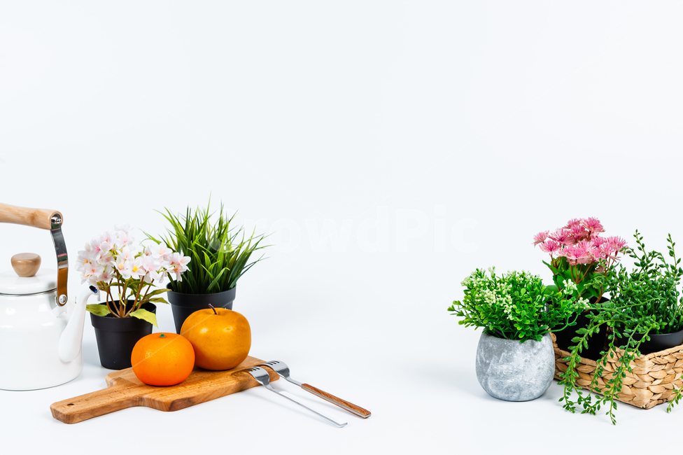 꽃,주방용품,인테리어,장식,소품,실내,화초,식물,꽃병,화분,바구니,손잡이,녹색,회색,배경,공간,카피스페이스,깨끗한,꽃잎,잎사귀,과일,오렌지,귤,배,비타민,노란색,다이어트,건강,달콤한,과즙,신선한,도마,포크,반사,검정색,분홍색,흰색,넝쿨,금속,나무,목재,주전자,물,끓이다,뜨거운,식물,자연,plants,nature,꽃,flower,실내용화초,화분,화초,house plant,과일,열매,fruit,사물,물건,오브젝트,thing,object,matter,연출,컨셉,콘셉,direction,concept