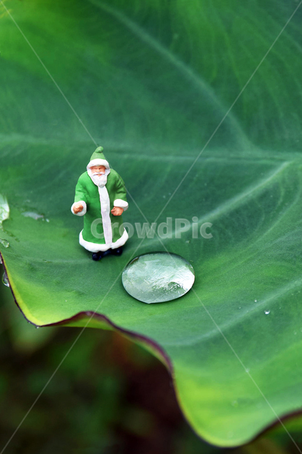 미니어처,요정,정령,물,물방울,토란잎,자연,신선한,녹색,풍경,식물,자연,plants,nature,연출,컨셉,콘셉,direction,concept
