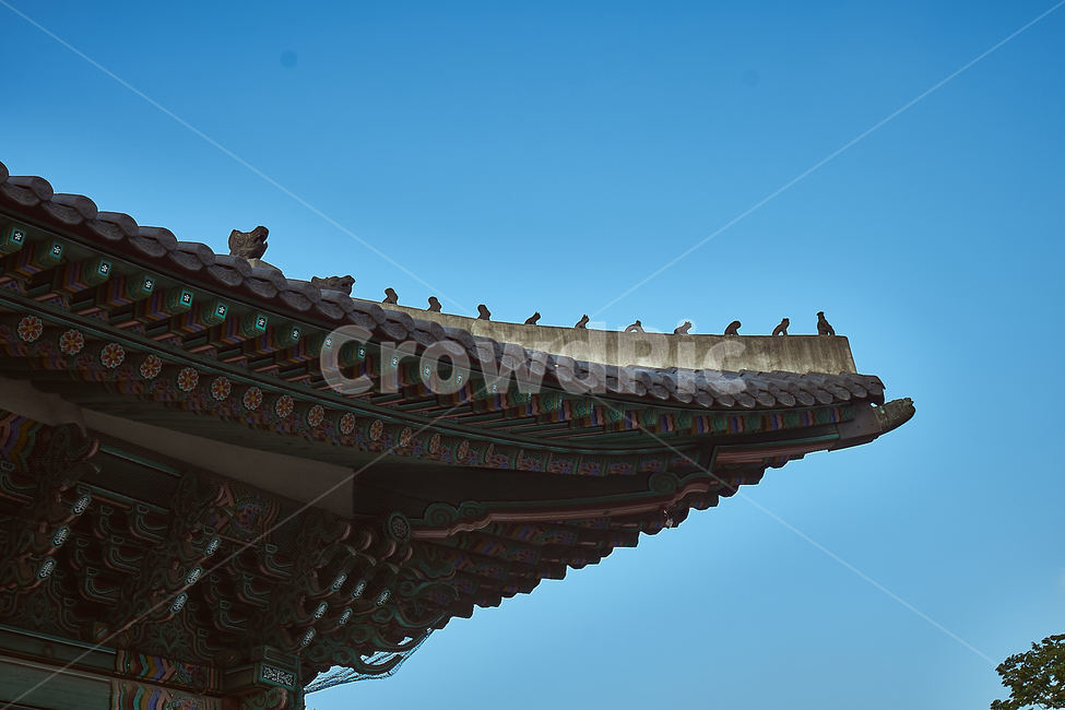 korea,korean,traditional,architecture,한국,대한민국,정통,덕수궁,서울,palace,seoul,house,building,오후,afternoon,건축물,건물