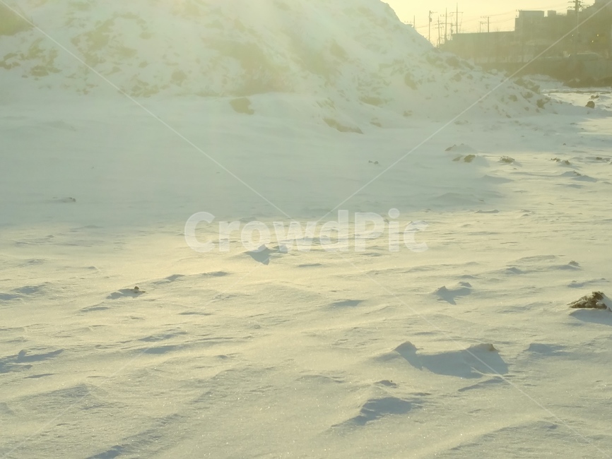 겨울,눈,그림자,차가움,추움,혹한,빛,햇살,겨울,계절,winter,season,자연,풍경,nature,landscape,outdoors,옥외,sand,모래