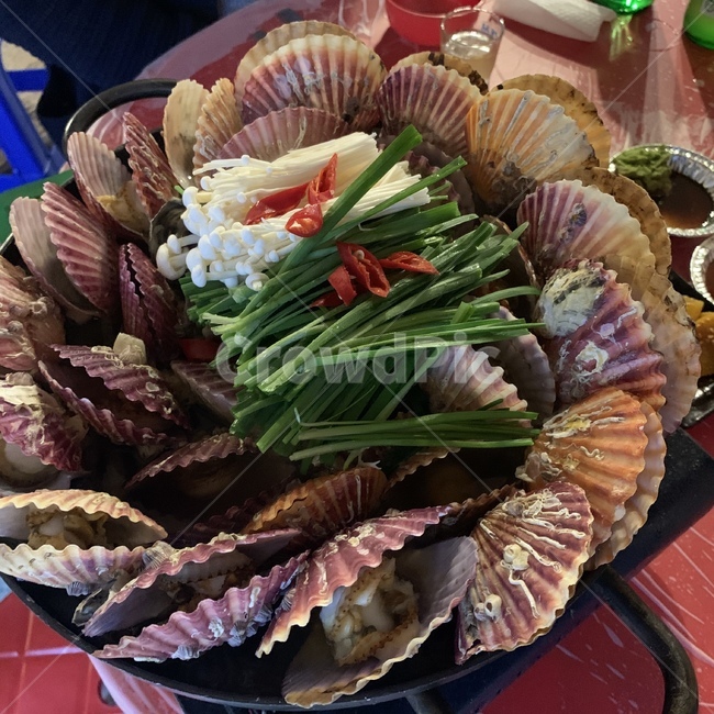 가리비,가리비찜,음식,food,생물
