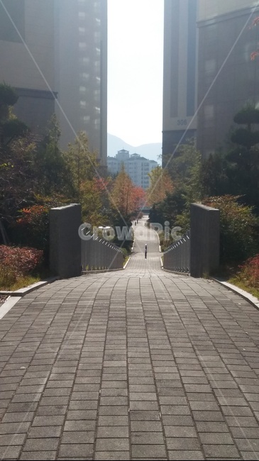 길,단풍,가을,곧은,낭만,주홍빛,물드는,도시,풍경,city,landscape,flagstone,판석,path,통로,walkway,보도