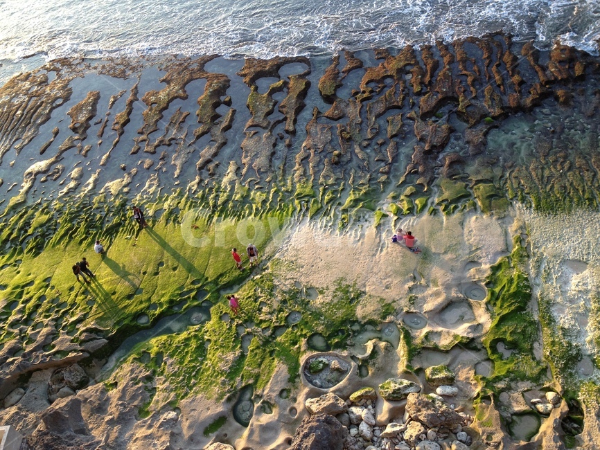 인도네시아,발리,발랑안,발랑안해변,썰물,해변,바닷가,indonesia,bali,balangan,balanganbeach,beach,ebb,ebbtide,greenbeach,녹색해변,자연,풍경,nature,landscape,algae,조류,plant,식물,rock,록