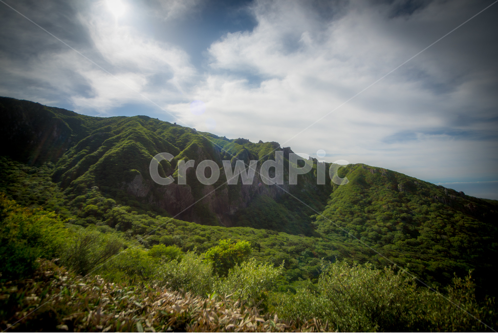 제주도,한라산,nature,자연,outdoors,옥외,hill,언덕,countryside,구름,나무,숲