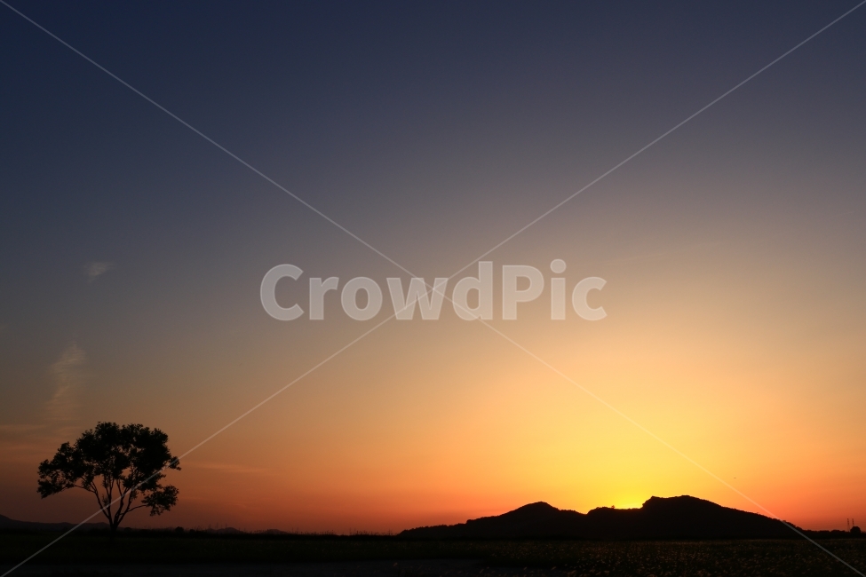 일몰,수섬,삘기꽃,삘기,화성,해넘이,노을,sunrise,역광,자연,풍경,nature,landscape,실루엣,그림자,silhouette,shadow,outdoors,옥외,sky,하늘,dusk,황혼,sunset,red sky,붉은 하늘,dawn,새벽