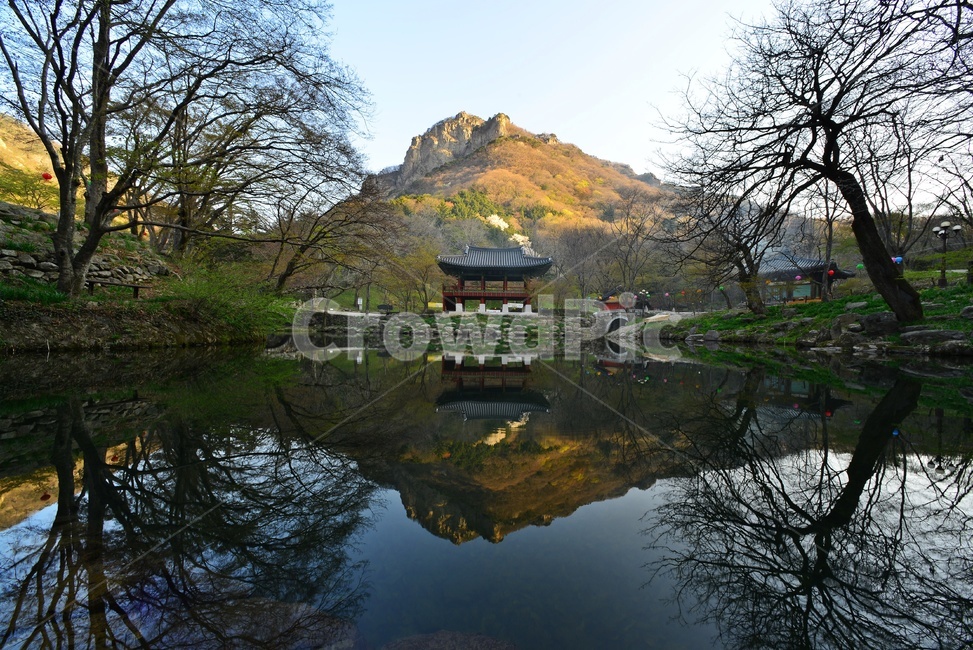 water,물,plant,식물,asphalt,nature,자연,outdoors,옥외,경치,경관,풍경,장성,백양사,백양사봄,봄,계절,연못,반영,벡학봉,쌍계루