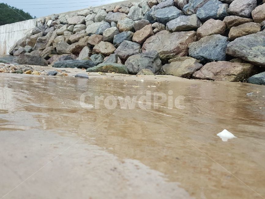 바위,모래,조개껍데기,바다,돌멩이,바닥,해변,바다,beach,sea