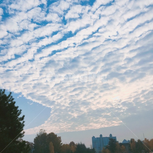 하늘,구름,지진운,sky,cloud
