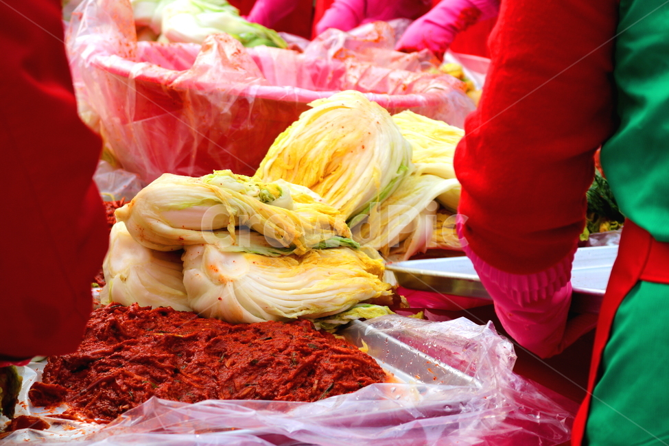 김치,김장,김장김치,배추,절임배추,배추김치,김장철,겨울,음식,식재료,요리,food,cook,meal,dishes,food reserves,채소,야채,vegetables,한식,한국음식,한국요리,korean food,korean dishes,korean meal,korean cook